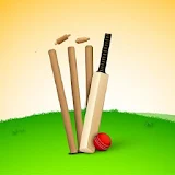 Cricket Score Calculator icon