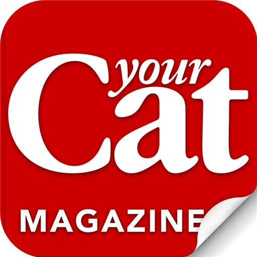 Get Your Cat Magazine for Android Aso Report