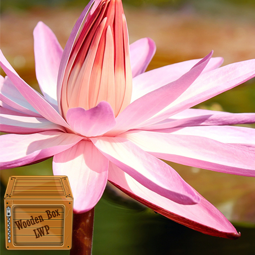 lotus pond wallpaper Header - AppWisp.com