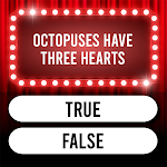 Cover Image of Download Trivia Time : Multiple Choice Quiz 2.1.1 APK