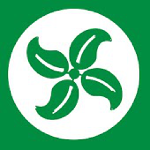 Evergreen InTune Descarga en Windows