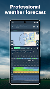 Windy.app: Windy Weather Map Schermata