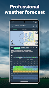 Windy.app: Windy Weather Map