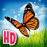 Butterfly Adventures icon