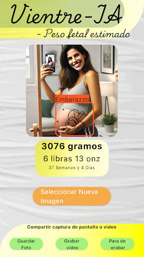 Vista previa de la aplicación