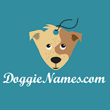 Puppy Dog Names icon