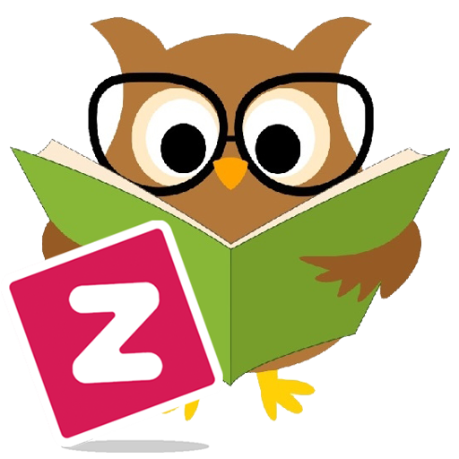 Zeybox Hızlı Okuma