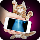 Xray Scanner Pet Cat Prank icon