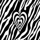 Black And White Zebra LWP PRO icon