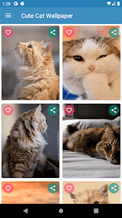 Cute Cat Wallpaper Screenshot
