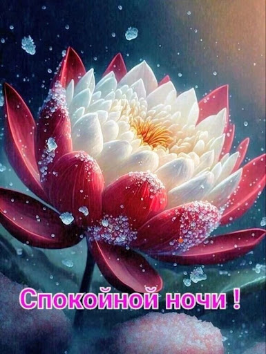 Спокойной ночи GIFs 2023 Screen 2