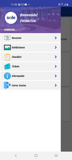 SOLE - Exhibiciones Screen 2