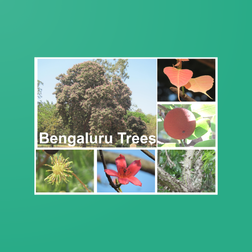 Bengaluru Trees 0.4.9 Icon