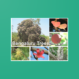 「Bengaluru Trees」圖示圖片