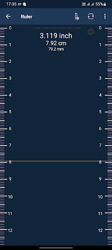Ruler Screen 2