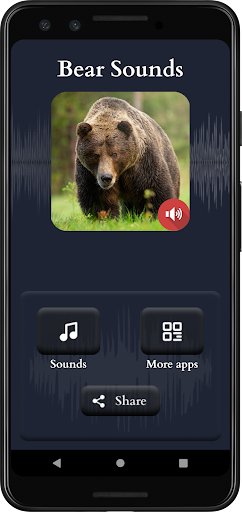Bear Sounds screenshot 1