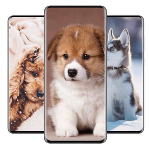 Get Cute Puppy Wallpaper for Android Aso Report