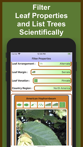Forest Tree Identification Screen 3