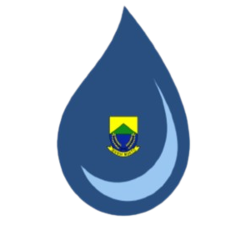 MODIS logo