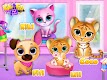 screenshot of Kiki & Fifi Pet Hotel