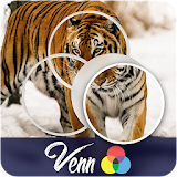 Venn Tigers: Circle Jigsaw icon