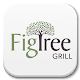 FigTree Grill Download on Windows