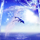 Dolphin Snow icon