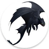 Dragon Rider icon