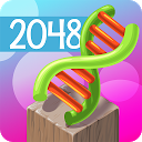 Download Evolution 2048 3D Puzzle Deluxe Install Latest APK downloader