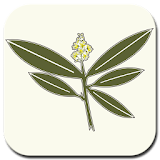 Nature's Own Herb Shop icon