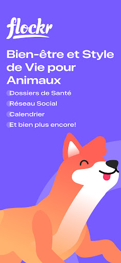Aperçu de l'application