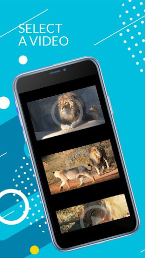 Wild Animals Videos - Wildlife Videos for Free