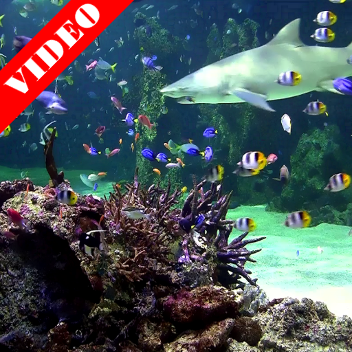 Video Wallpaper: Aquarium logo