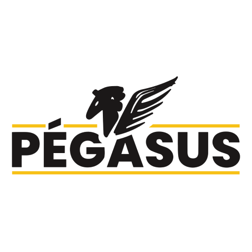 Clube Pegasus 3.1.8 Icon