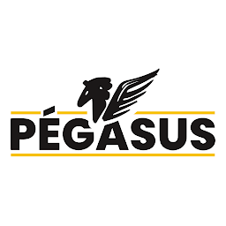 Icon image Clube Pegasus