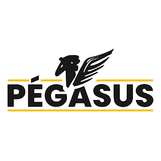Clube Pegasus