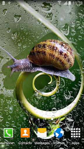 Android application Rainy Live Wallpaper screenshort