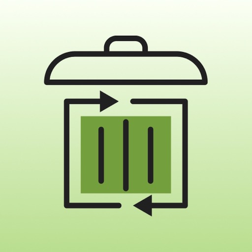 PIN Plus logo