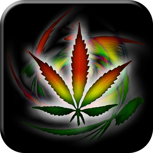 Fonds d'écran Rasta HD Télécharger sur Windows