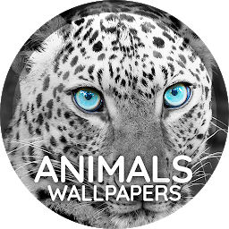 「壁紙 4K 動物」圖示圖片