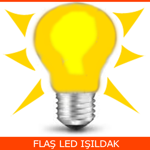 Flash Light logo