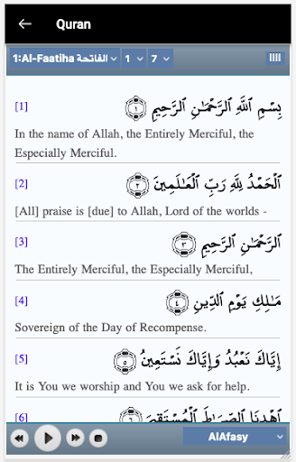 AMEEN Project Screen 3