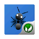 Ant.My Pet icon
