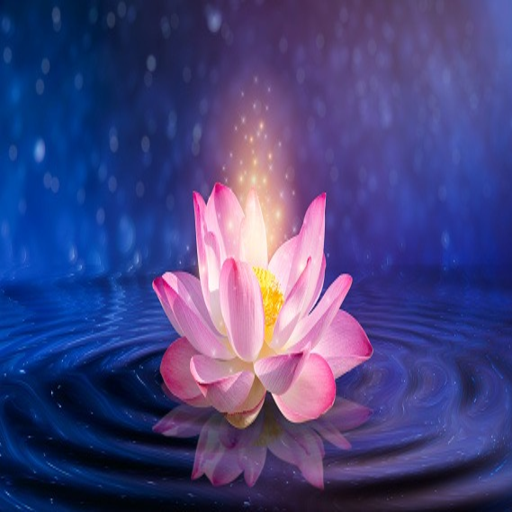 10x Life Coach Archana logo