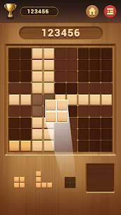 Wood Block Sudoku Game -Classic Free Brain Puzzle 2