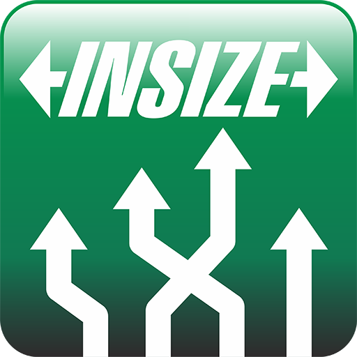 INSIZE.DMS logo