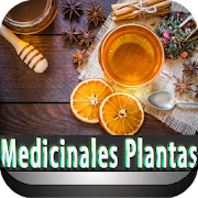 Plantas Medicinales y Medicina Natural con foto
