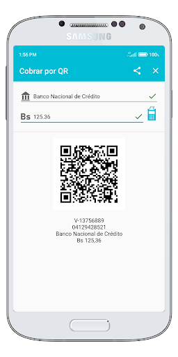 Pago Móvil SMS Screen 3
