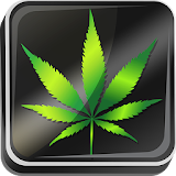Weed Live Wallpaper icon