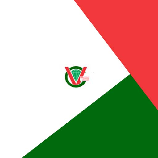 Vida Ativa logo